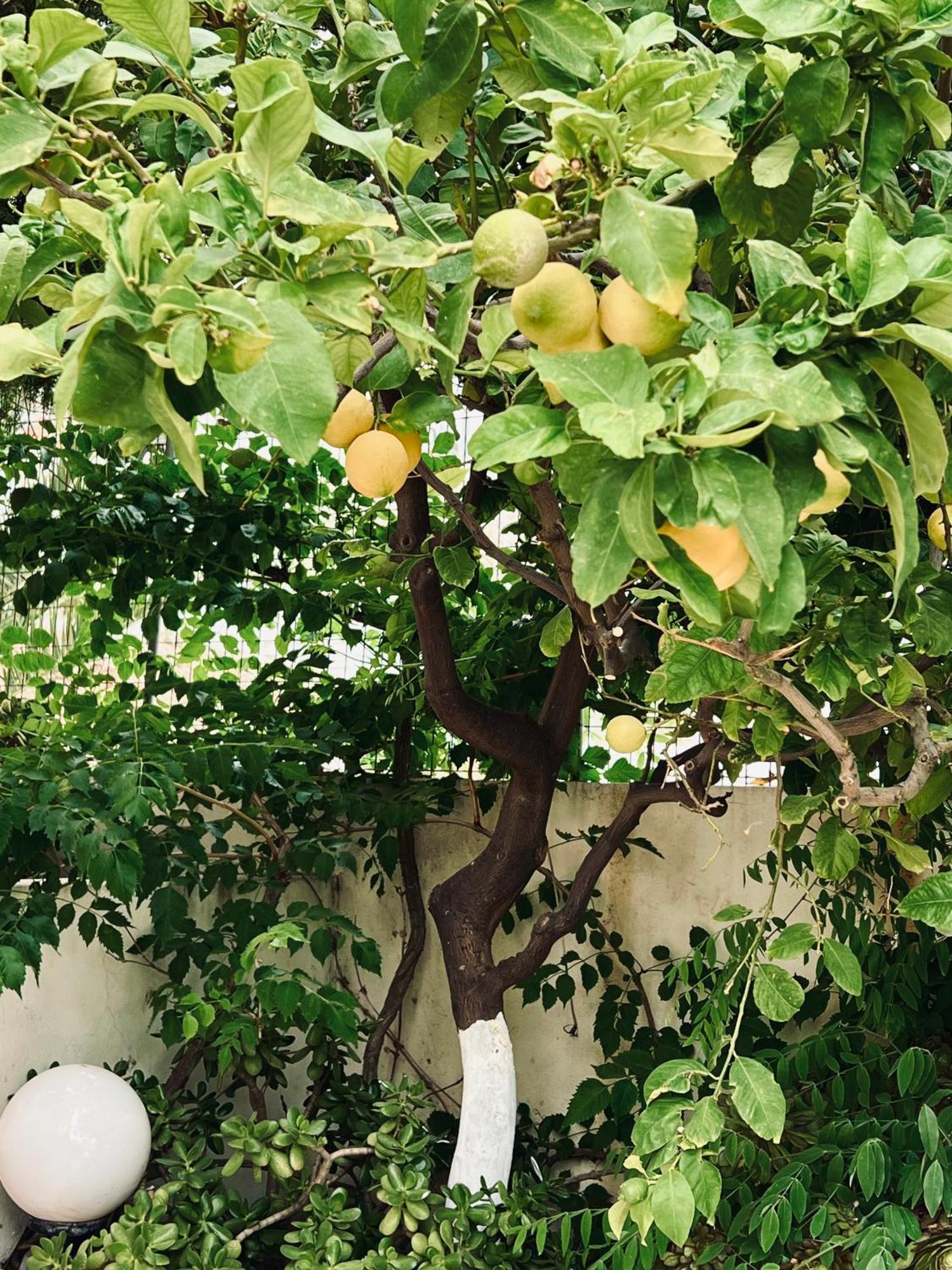 דירות Bali  Bella Vista מראה חיצוני תמונה